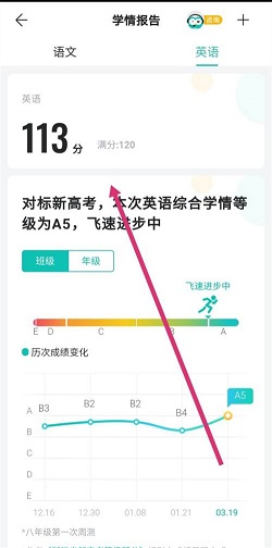 智学网怎么查成绩？智学网查成绩操作介绍