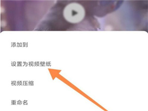 小红书怎么设置视频壁纸？小红书设置视频壁纸操作一览