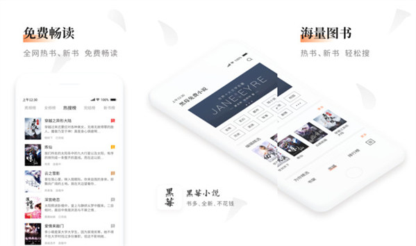 黑莓小说免认证版：一款个性化操作的小说app