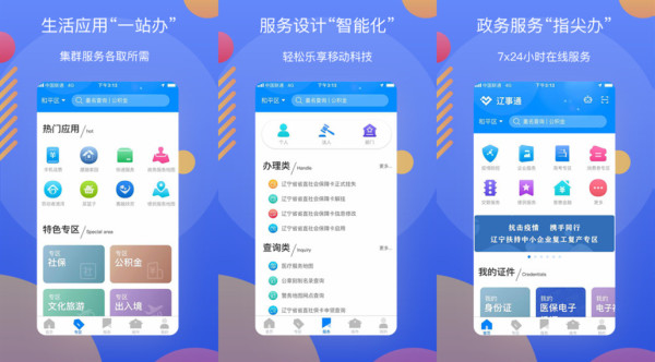 辽事通app苹果版：一款为公众提供便捷服务的网上app