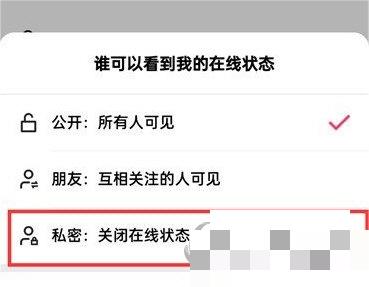 快手极速版怎么关闭在线状态？快手极速版关闭在线状态方法介绍